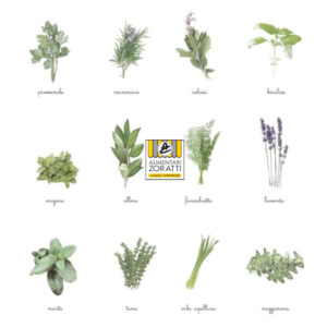 SPEZIE & AROMI FRESCHI