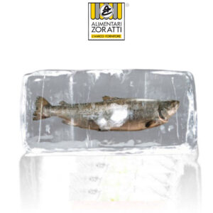 PESCE SURGELATO