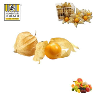 alchechenger-confezione-gr-100-alkekengi-