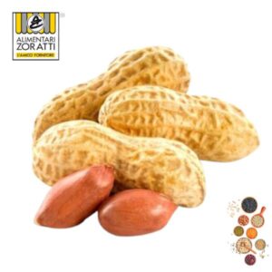 arachidi-con-guscio-tostati-sacco-da-kg-4-00-kg-calibro-7/9-noccioline-americane-