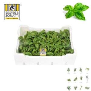 basilico-fresco-in-cassetta