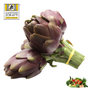 carciofi-tema-toscanello-al-pezzo