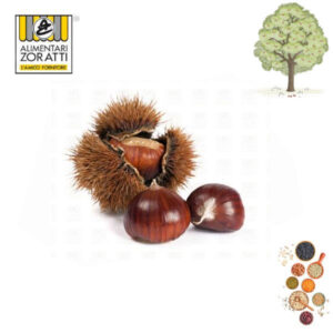 castagne-grandi-kg