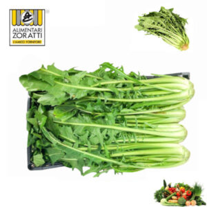 catalogna-cicoria-cassetta