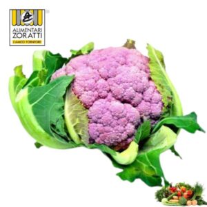 cavolfiore-viola-cespo