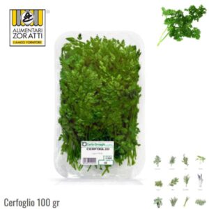 cerfoglio-fresco-gr-100-in-vaschetta