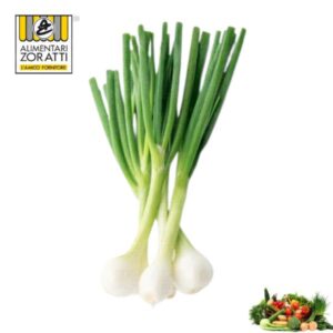 cipollotto-bianco-kg