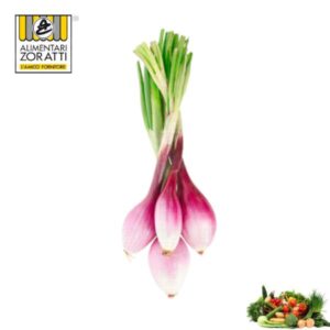 cipollotto-rosso-di-tropea-kg