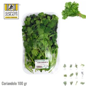 coriandolo-fresco-gr-100-in-vaschetta