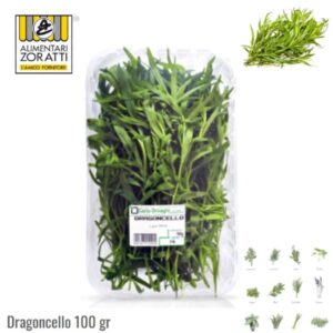 dragoncello-fresco-gr-100-in-vaschetta