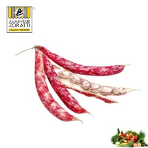 fagioli-borlotti-freschi-kg