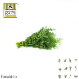 finocchietto-selvatico-fresco-mazzo