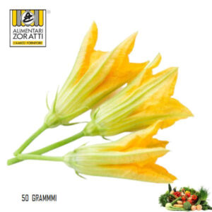 fiori-zucca-gr-50-confezione