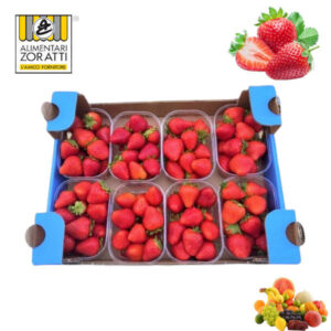 fragole-cassetta-8-confezioni-da-gr-250-