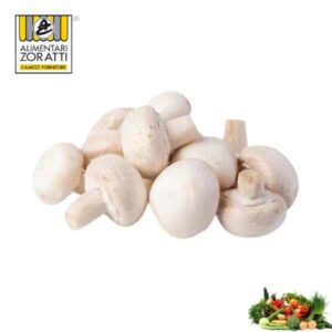 funghi-champignon-freschi-kg