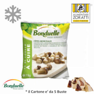funghi-porcini-cubettati-kg-1-00-busta