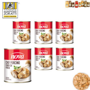 funghi-porcini-nova-sott-olio-peso-netto-gr-850-per-6-pezzi-latta