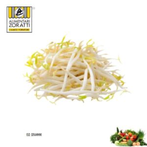 germogli-soia-gr-150-confezione