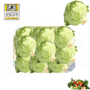 iceberg-brasiliana-cassetta-insalata-