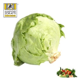 iceberg-brasiliana-cespo-insalata-