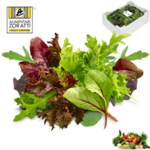 insalata-babyleaf-mix-gr-400-7-gusti-cassetta