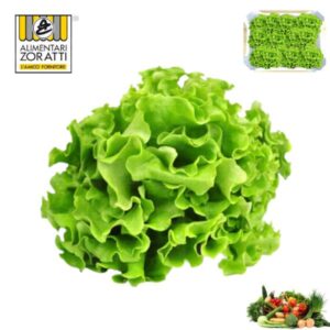 insalata-gentile-cassetta