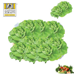 insalata-lattuga-cassetta