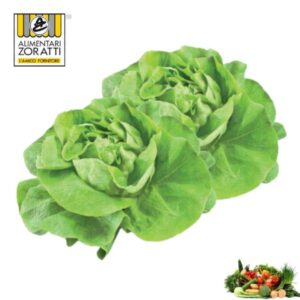 insalata-lattuga-cespo