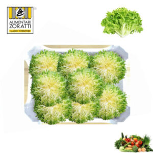 insalata-riccia-cassetta