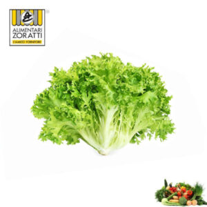 insalata-riccia-cespo