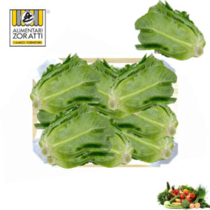 insalata-romana-cassetta