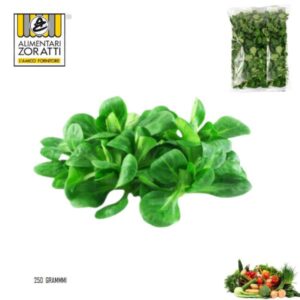 insalata-soncino-busta-gr-250-pulita-valeriana-