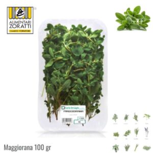 maggiorana-fresca-gr-100-in-vaschetta