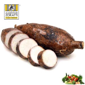 manioca-yuca-o-cassava-kg