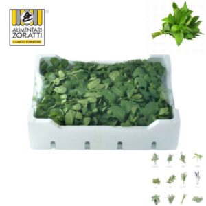 menta-fresca-in-cassetta