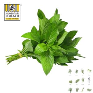 menta-fresca-mazzo