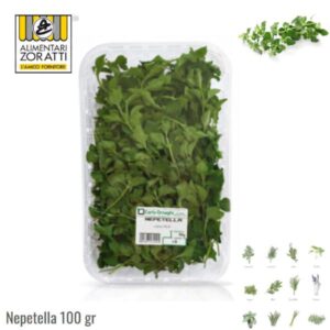 nepetella-fresca-gr-100-in-vaschetta