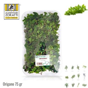 origano-fresco-fresco-gr-75-in-vaschetta