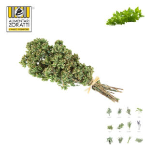 origano-fresco-mazzo