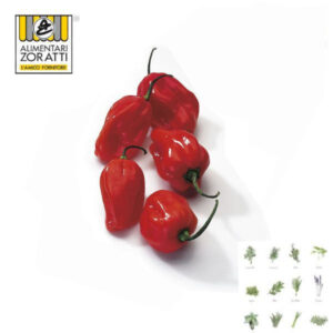 peperoncino-habanero-kg