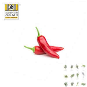 peperoncino-piccante-fresco-mazzo