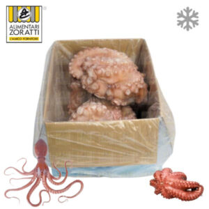 polipo-marocco-cartone-da-kg-12-00-a-kg-13-00-c-ca-pezzi-da-kg-2-00-a-kg-3-00-c-ca-iqf--individual-quick-freezing-gelo