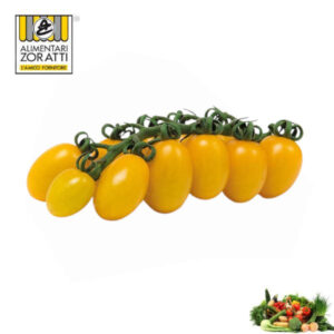 pomodoro-datterino-giallo-kg
