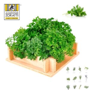 prezzemolo-fresca-in-cassetta-kg-2-00-c-ca