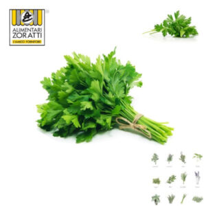 prezzemolo-fresco-mazzo