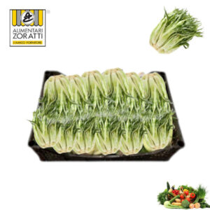 puntarelle-cassetta-catalogna-spigata-extra-