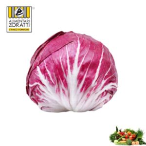 radicchio-chioggia-cespo-tondo-insalata-