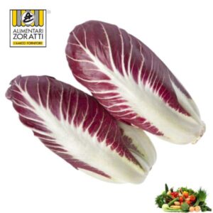 radicchio-lungo-cespo-insalata-trevisana-
