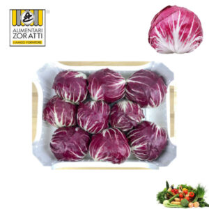 radicchio-tondo-chioggia-cassetta-insalata-trevisana-