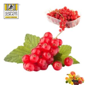 ribes-confezione-gr-125